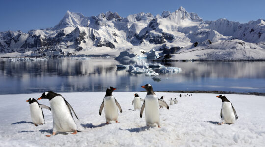 Antarctic ‘slush’ could mean higher sea level rises