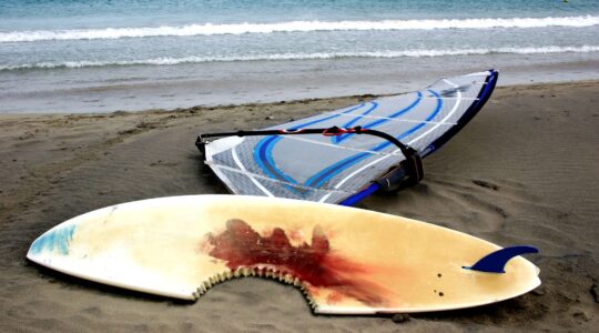 Shark bite in windsurfer. | Newsreel