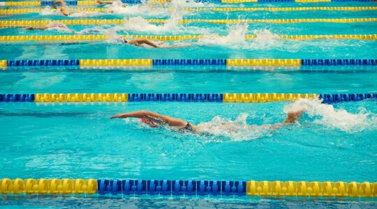 Swimmers in pool, | Newsreel