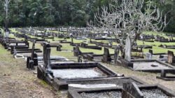 Alexandra Headland Cemetery | Newsreel