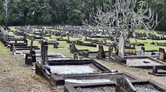 Alexandra Headland Cemetery | Newsreel