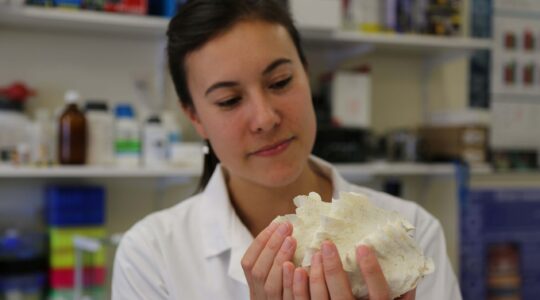 Doctor Sue-Ann Watson of James Cook University with the shell of a giant clam bivalve mollusc, Tridacna squamos. | Newsreel