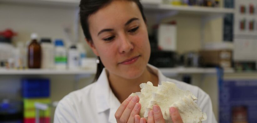 Doctor Sue-Ann Watson of James Cook University with the shell of a giant clam bivalve mollusc, Tridacna squamos. | Newsreel