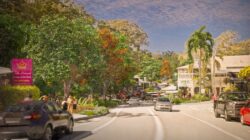 Future Eumundi streetscape. | Nesreel