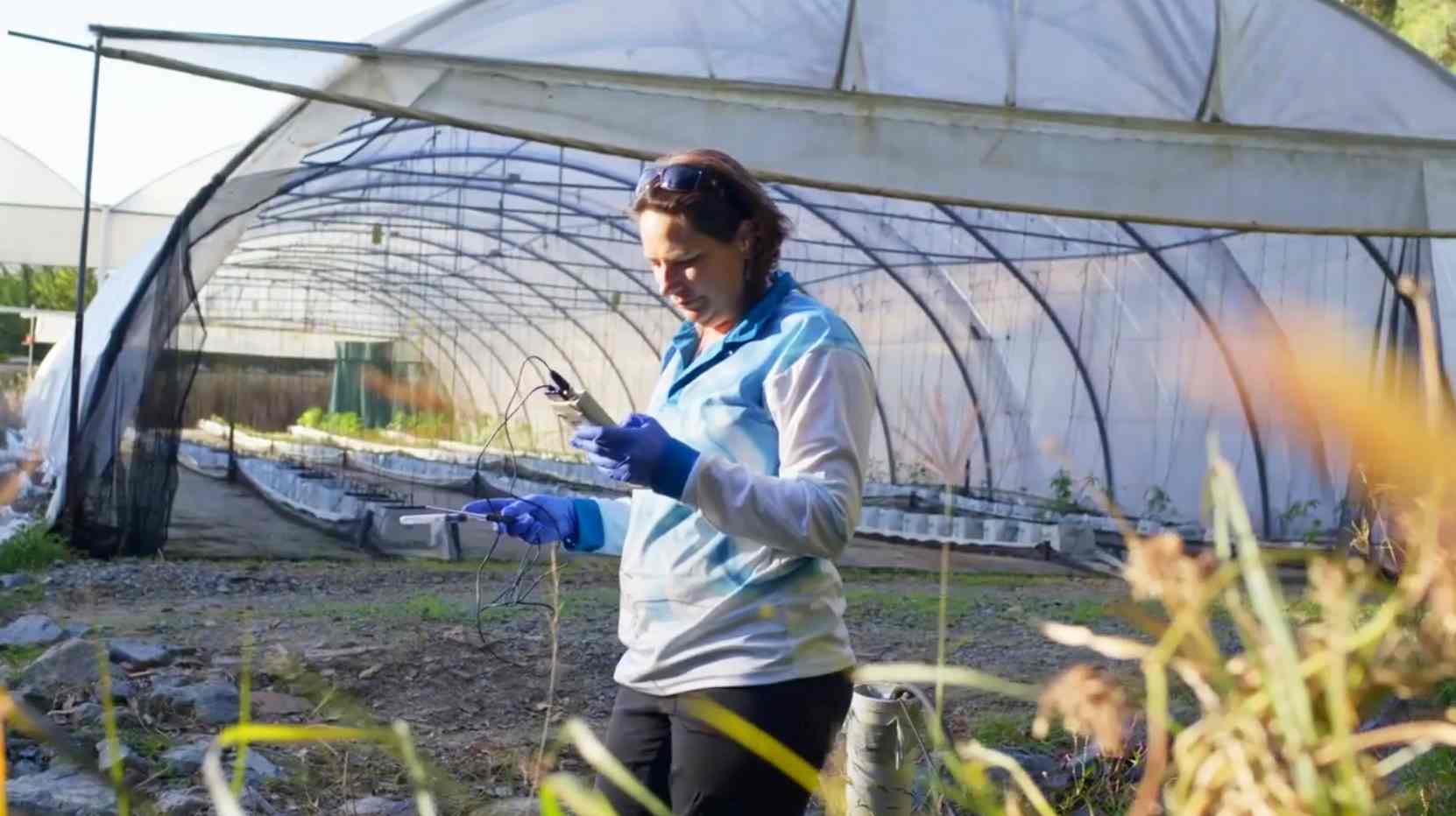 Professor Kirsten Benkendorff testing samples in front of a greenhouse - Newsreel