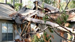 Tree on house after storm