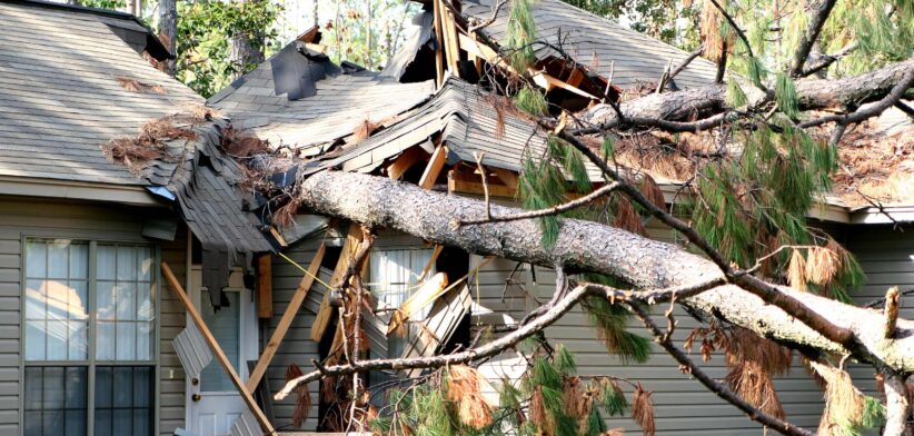 Tree on house after storm