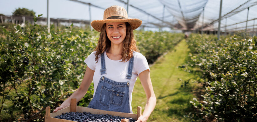 A bee shortage is reducing crop yield globally - Newsreel