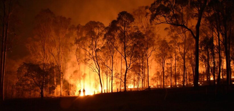 Bushfire. | Newsreel