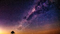 Night sky from One Tree Hill Maleny, Sunshine Coast, Queensland. | Newsreel