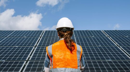 Worker looking at solar panels. | Newsreel