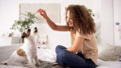 Dog doing a trick with a woman. | Newsreel