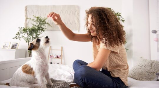 Dog doing a trick with a woman. | Newsreel