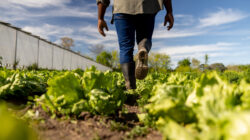 The Fair Work Ombudsman has warned against underpayment of migrant workers - Newsreel