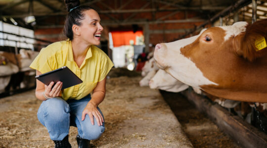 Optimism rebounds for state’s farmers