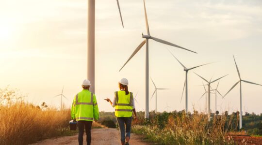 Wind Farm. | Newsreel