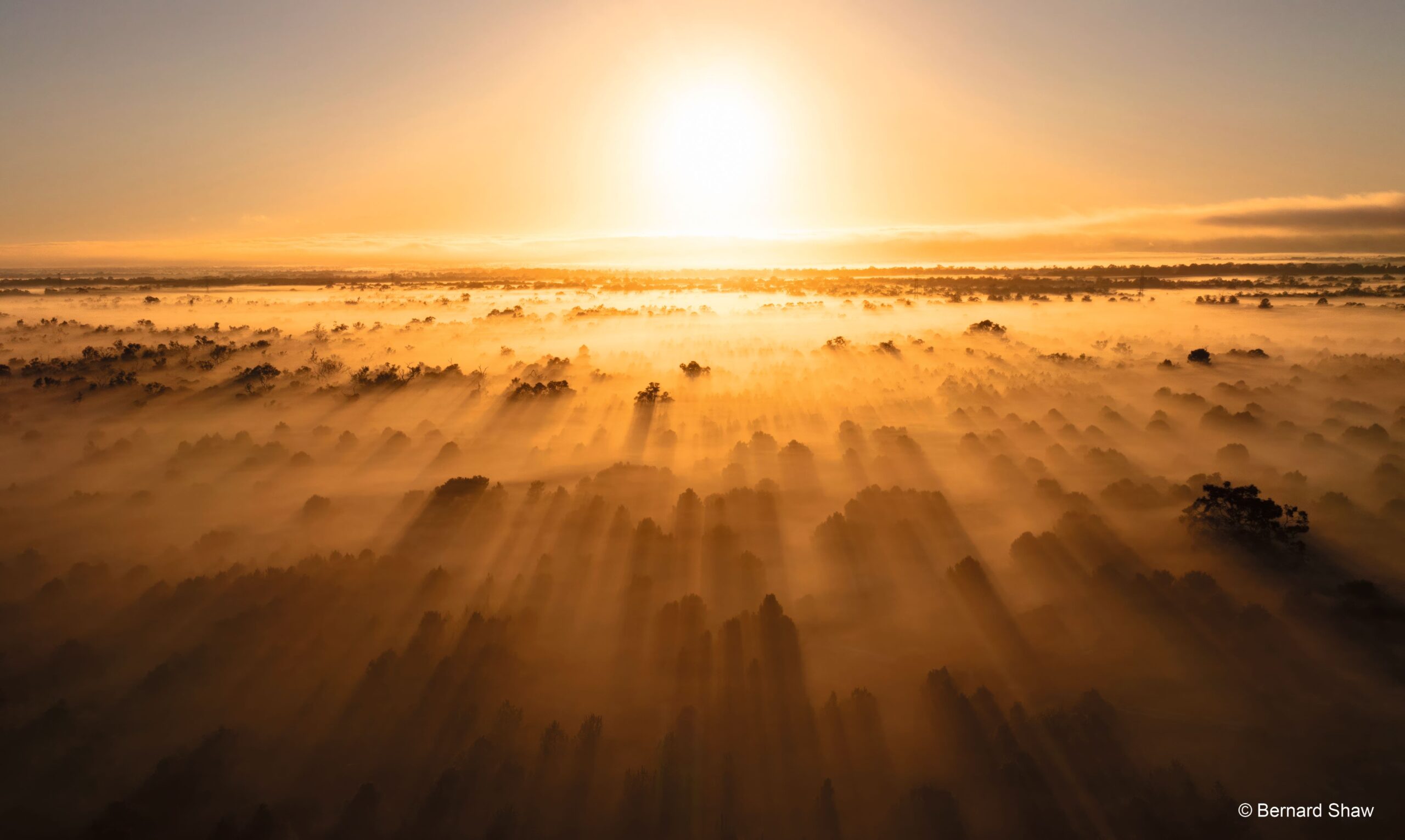 January - Sunrise and fog, Mornington, WA - Bernard Shaw