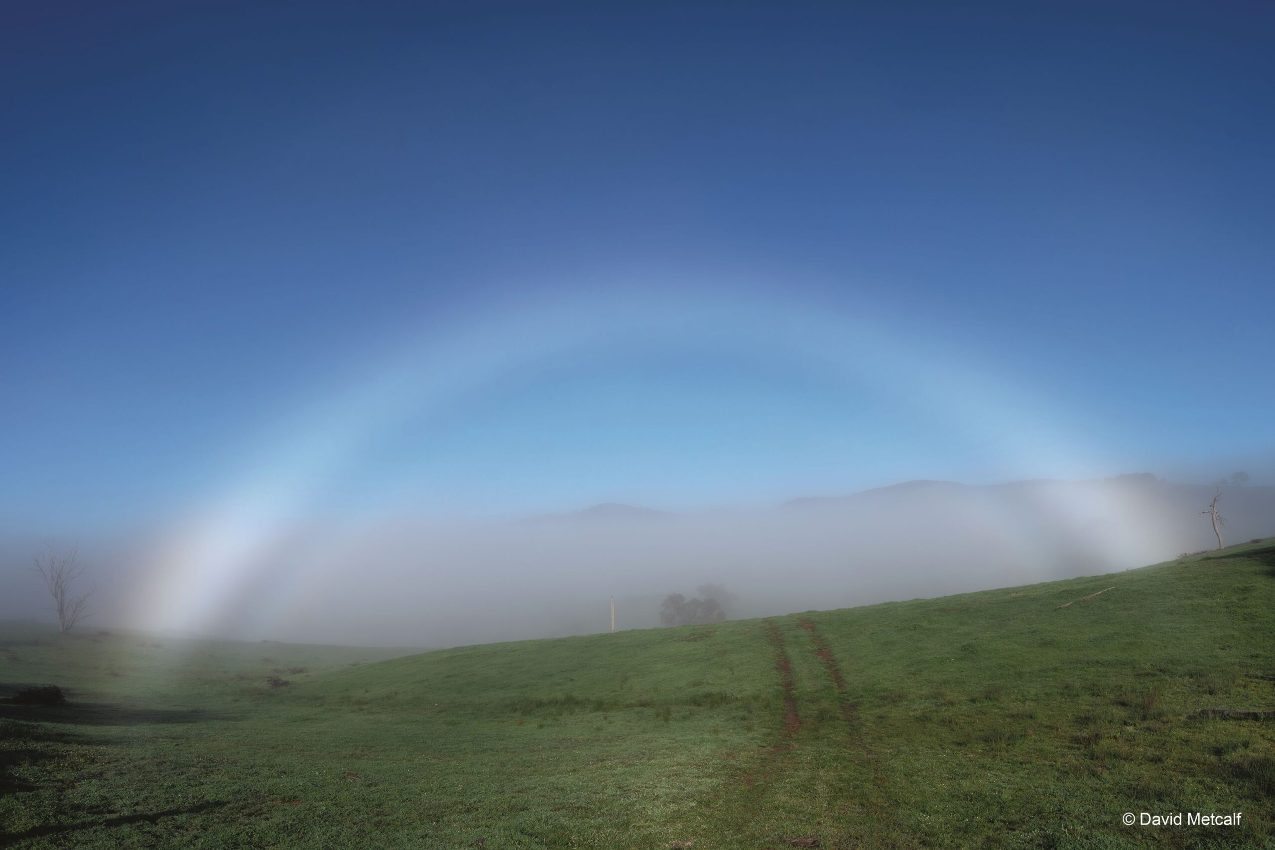 June - Fogbow, Tuena, NSW - David Metcalf