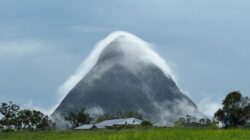 - Fog, Mount Beerwah, Queensland