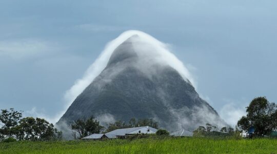 - Fog, Mount Beerwah, Queensland