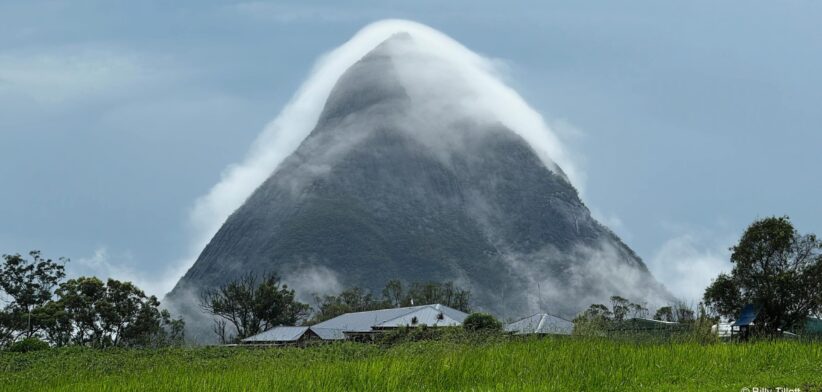 - Fog, Mount Beerwah, Queensland