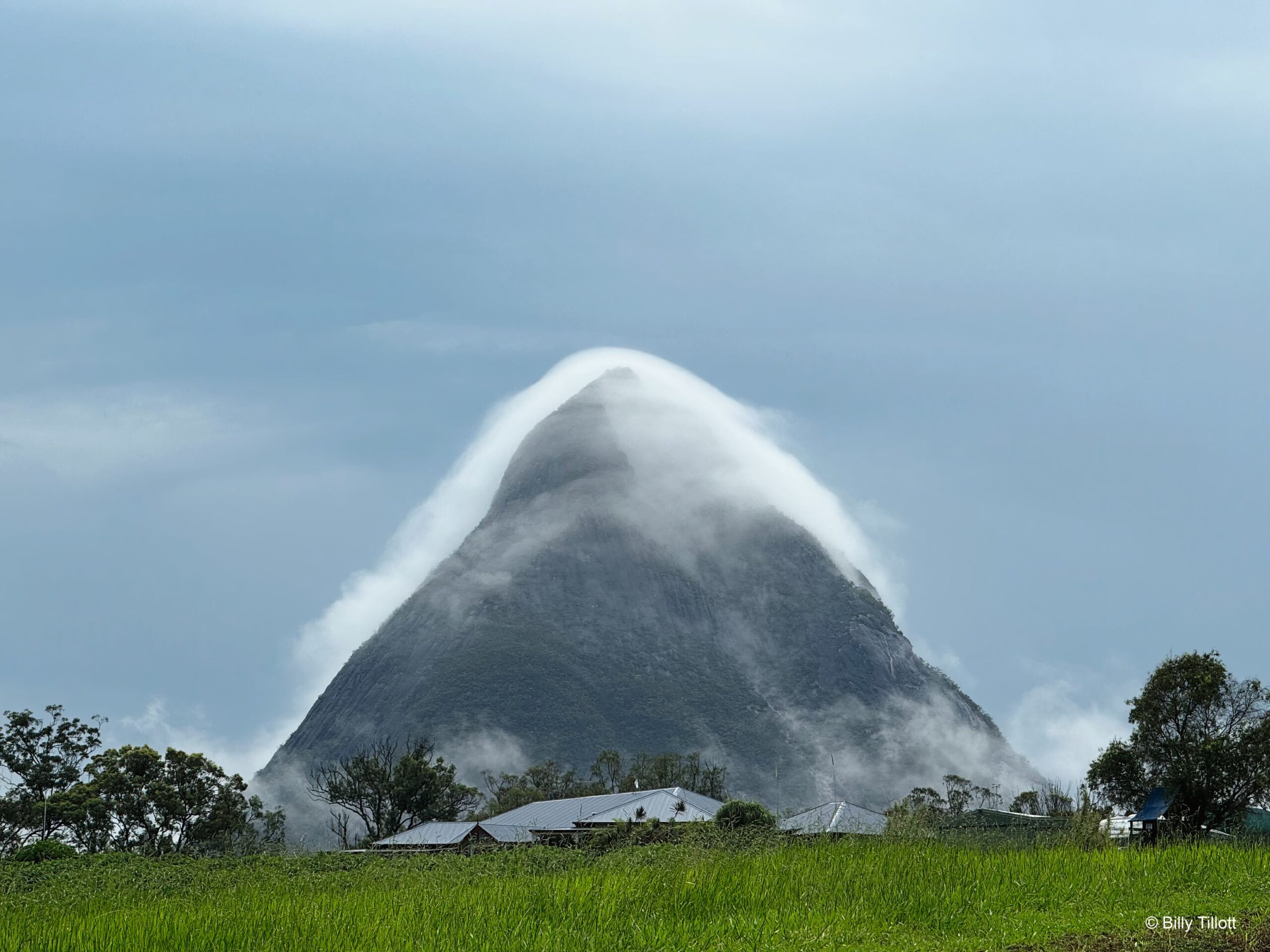 November - Fog, Mount Beerwah, Qld – Billy Tillott