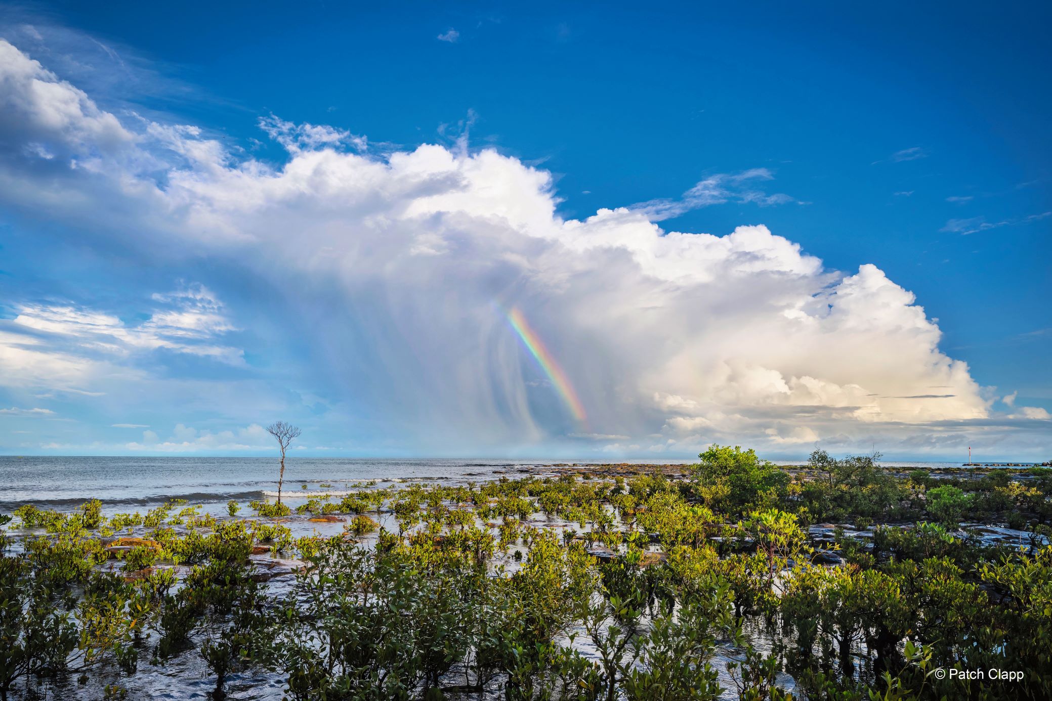 October - Rainbow and storm, Nightcliff, NT – Patch Clapp