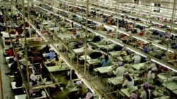 Clothes factory in Asia. | Newsreel