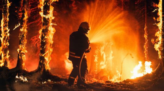 Firefighter battling bush fire. | Newsreel