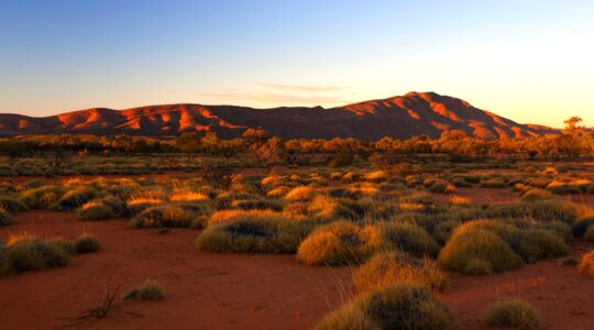 Outback Australia. | Newsreel