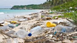 Plastics polluting a beach. | Newsreel