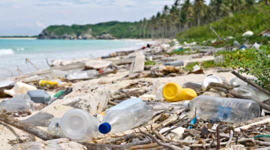 Plastics polluting a beach. | Newsreel