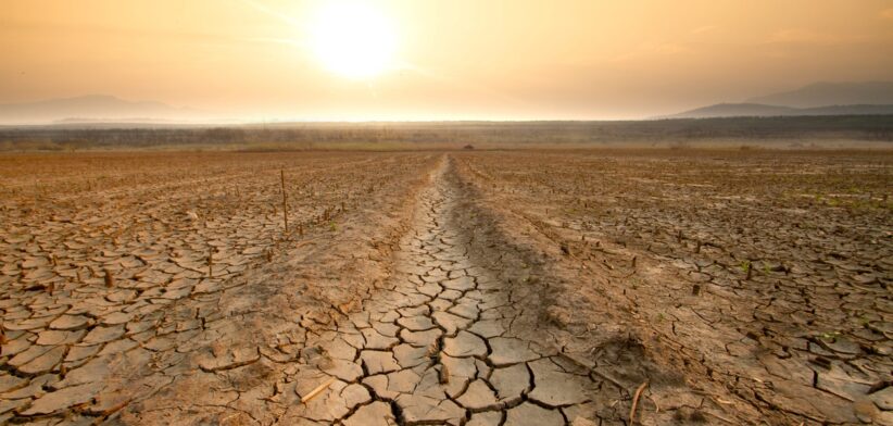 Land in drought. | Newsreel