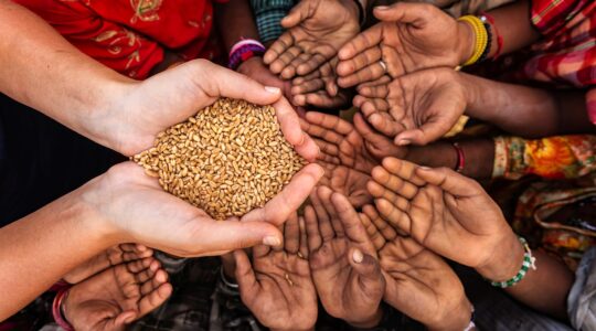 Hungry hands waiting for grain. | Newsreel