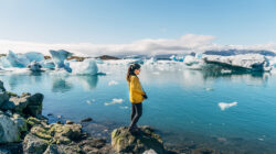 Warmer temperatures are leading to more vegetation in Antarctica.