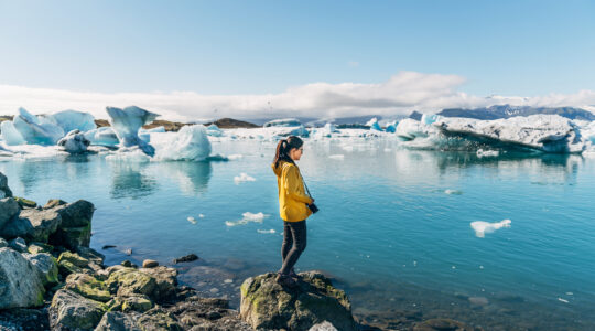 Warmer temperatures are leading to more vegetation in Antarctica.