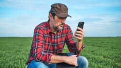 Farmer looking at smart phone in the field. | Newsreel