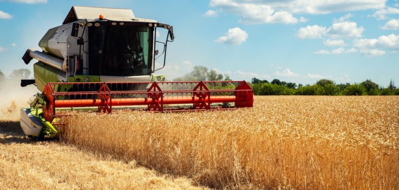 Wheat harvesting. | Newsreel