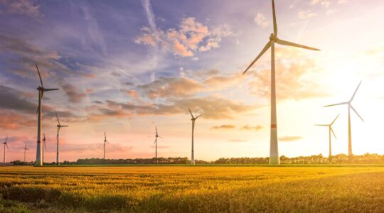 Approved renewables output enough to power all homes