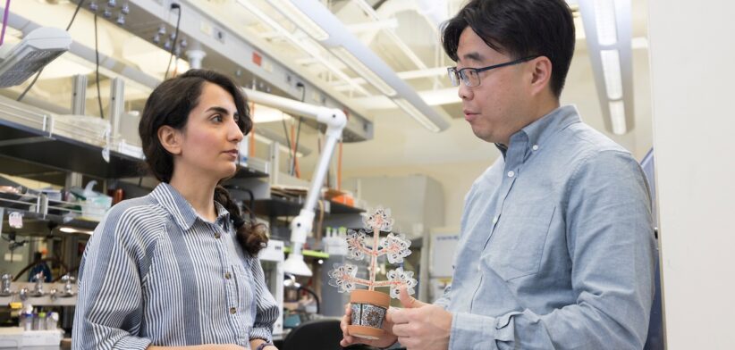 Binghamton University PhD student Maryam Rezaie, left, and Professor Seokheun Choi. | Newsreel