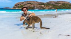 Tourist with kangaroo, Australia. | Newsreel