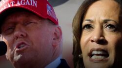 Donald Trump and Kamala Harris graphic. | Newsreel