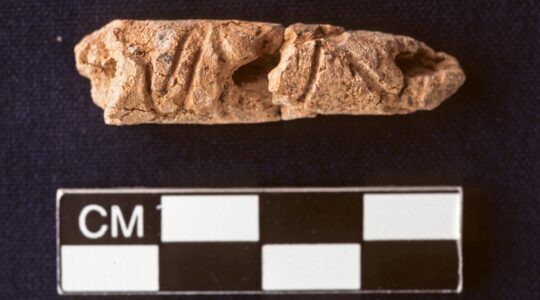 New evidence first alphabet was in 2400 BCE