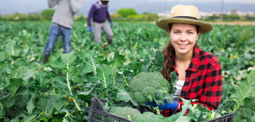 Worker on broccoli farm. | Newsreel