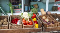 Vegetables at store. | Newsreel