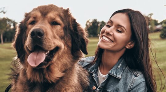 Dog and human hearts synchronise during play