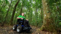 4WD wheelchair in rainforest. | Newsreel