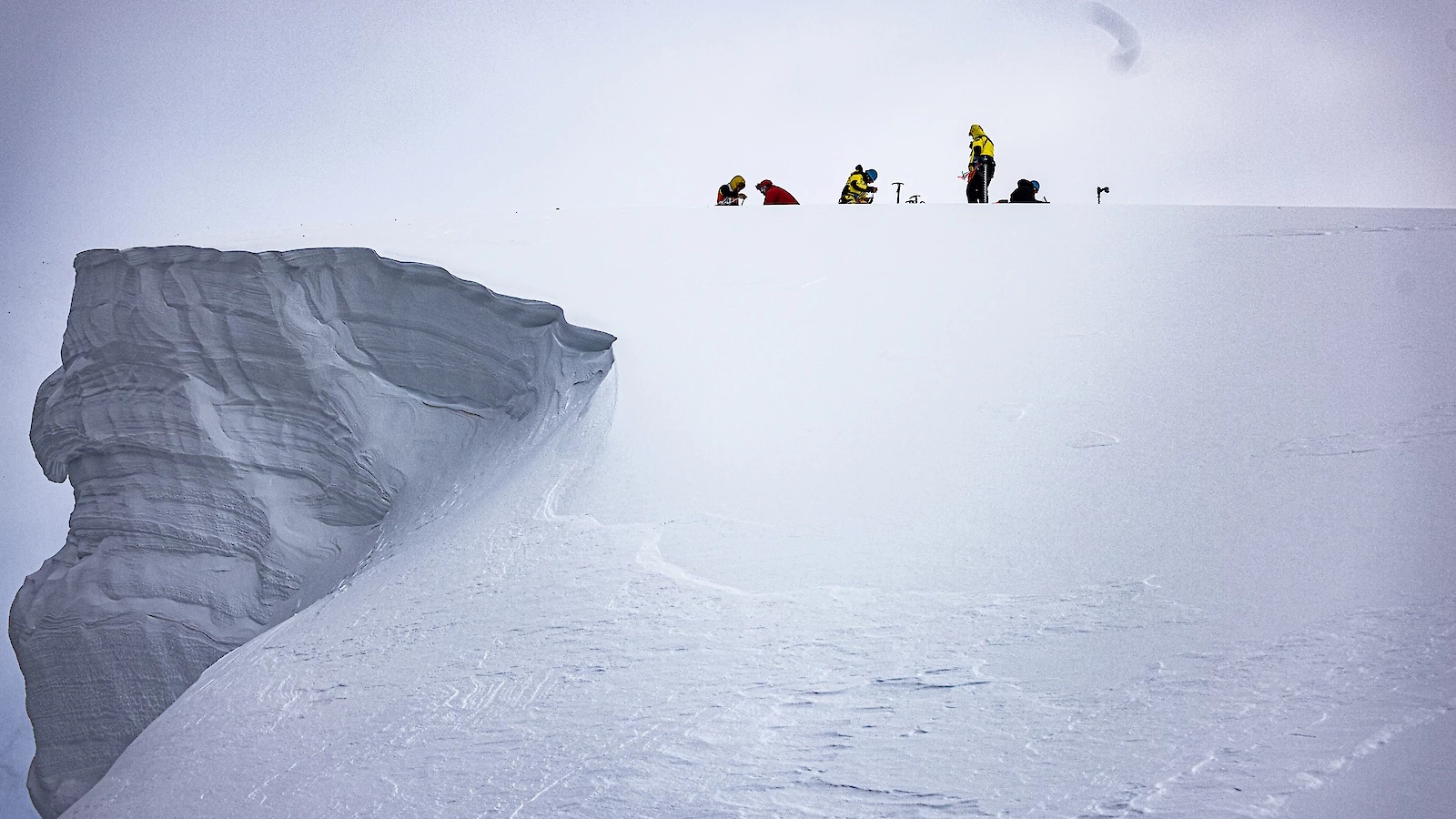 Search and rescue training near Davis. | Newsreel