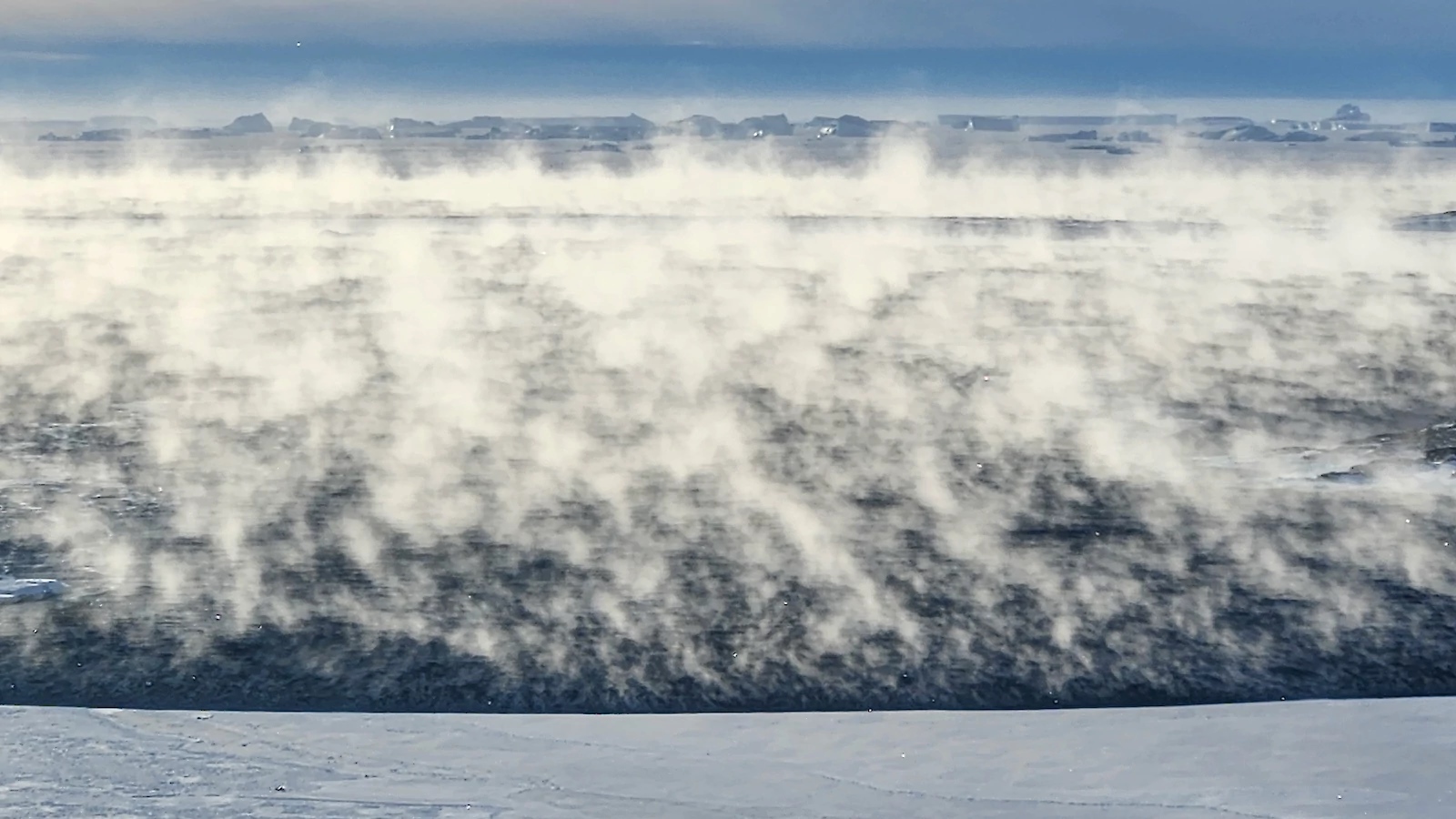 Sea fog near Casey research station. | Newsreel