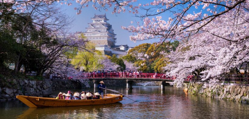 Cheery Blossoms Japan. | Newsreel